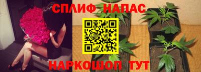 jwh Можга
